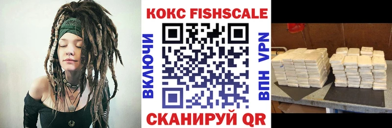 Купить где  Далматово  COCAIN VHQ 