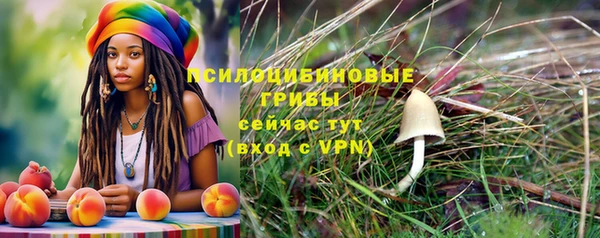 марки lsd Инта
