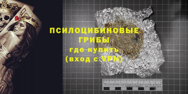 ALPHA PVP Инсар