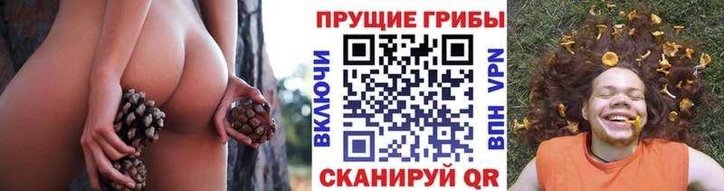 Псилоцибиновые грибы Psilocybine cubensis  Купить закладки  Далматово 